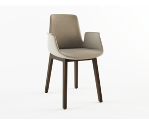 Fd5bf7a9f37b77c8c70f99658269d797 Ventura Chair 300 250 C 90